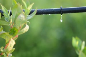 Irrigazione a goccia orto