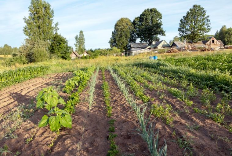 Agricoltura biodinamica