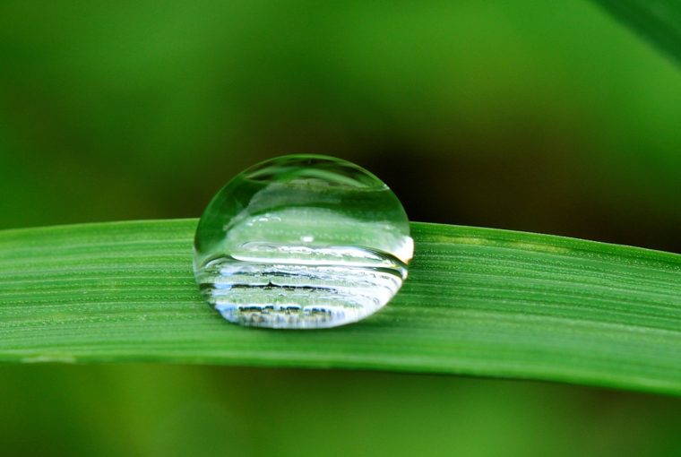 Irrigazione Giardino