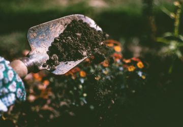 Avere un giardino rigoglioso