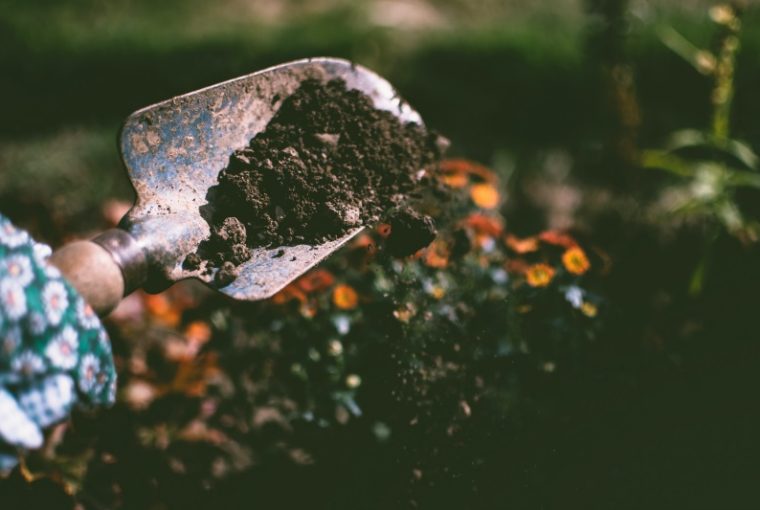 Avere un giardino rigoglioso