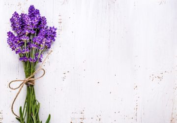 fusi di lavanda
