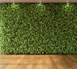 Giardino a parete interno