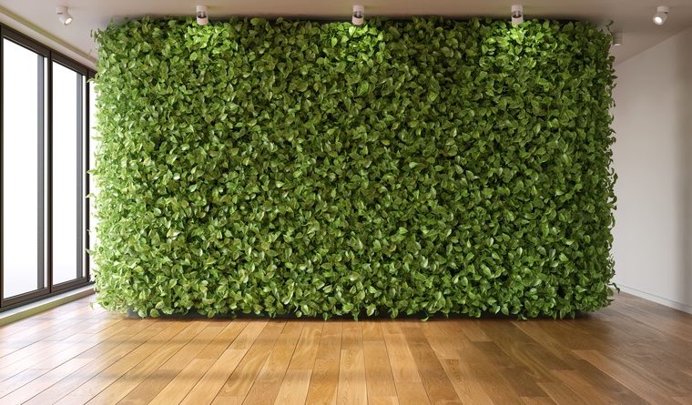 Giardino a parete interno